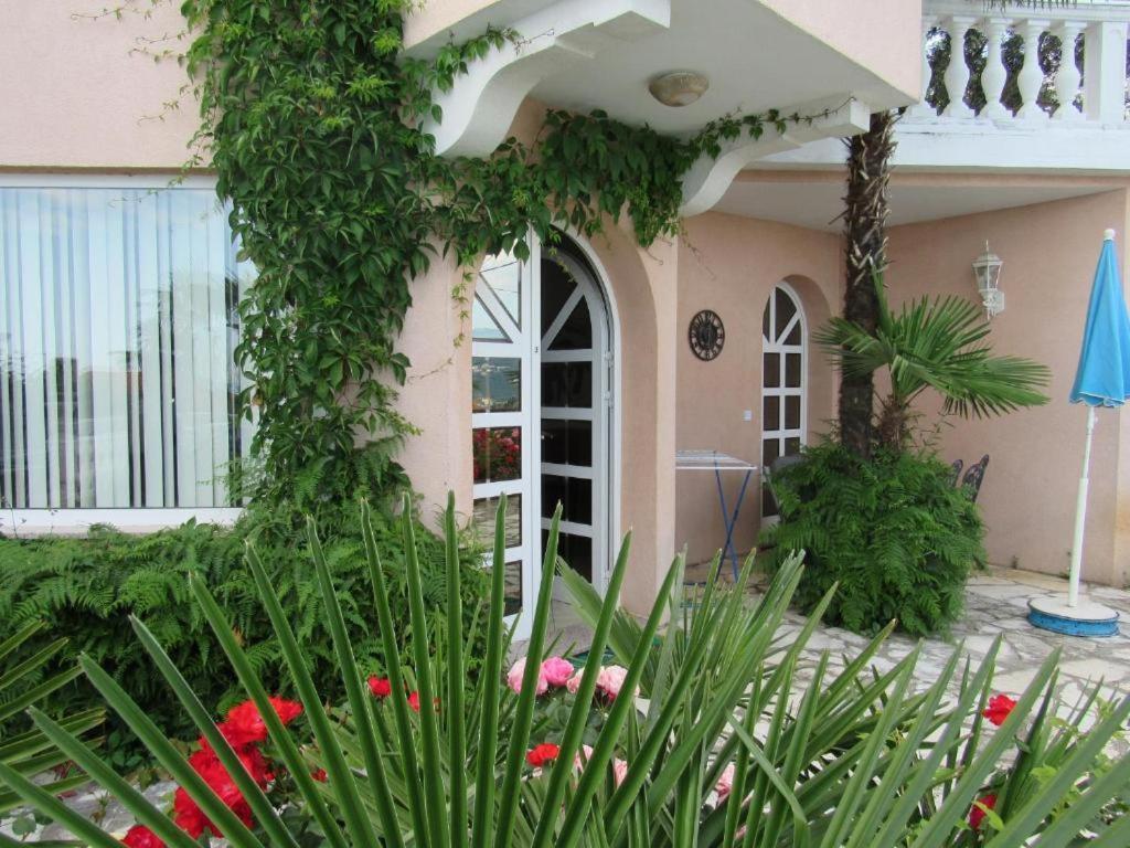Apartment Palme 1 *