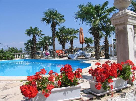 Palme 1 *