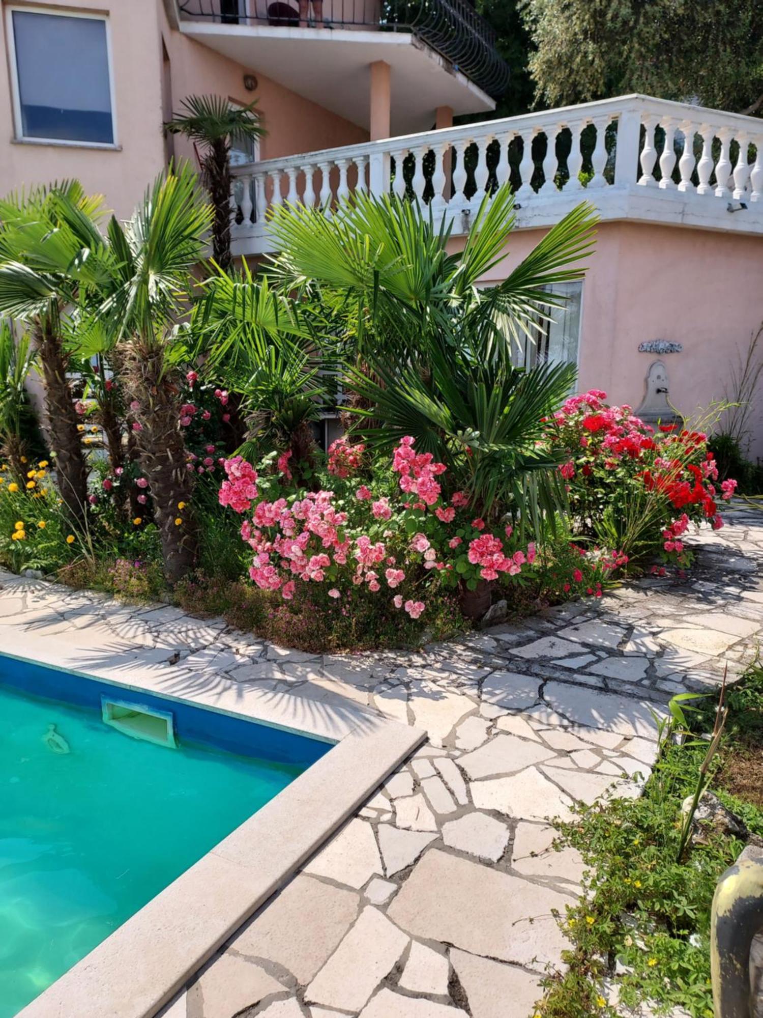 Palme 1 Apartment *