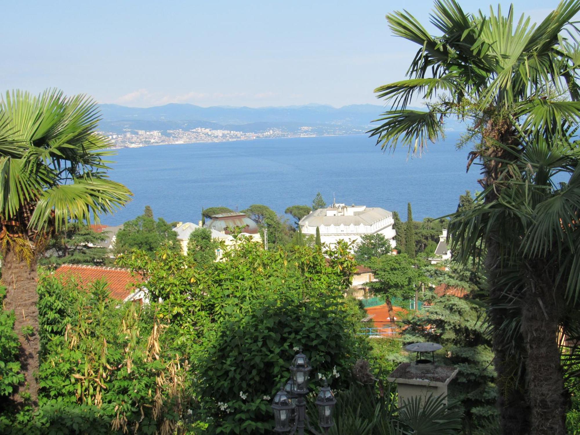 Apartment Palme 1 *